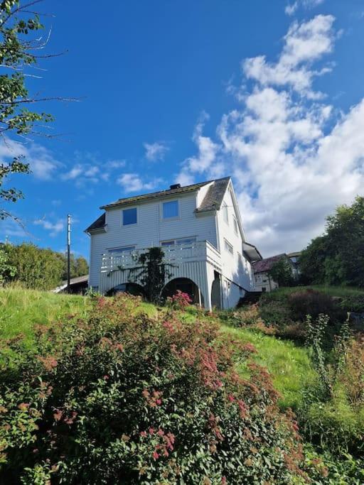 Madsgard Villa Etnesjoen Exterior photo